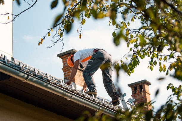 Best Chimney Flashing Repair  in Lindale, TX
